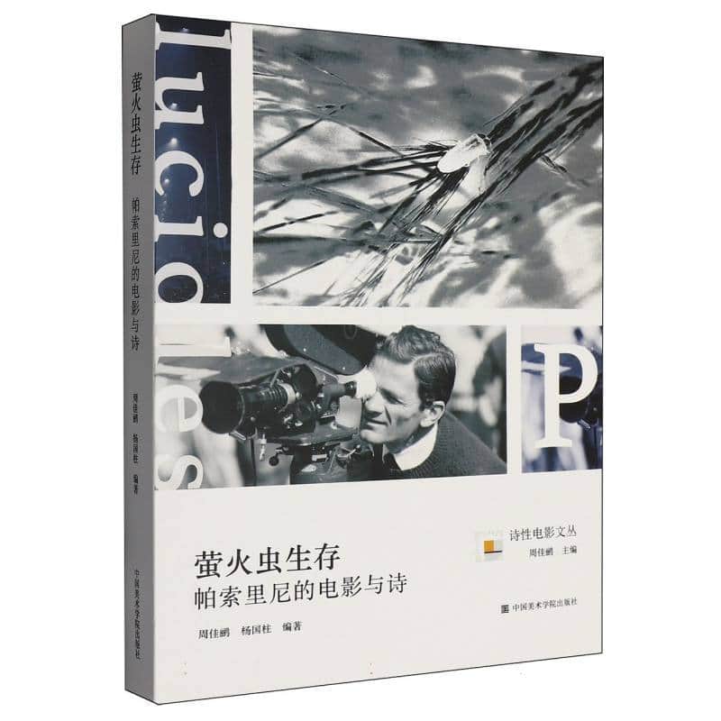 萤火虫生存—帕索里尼的电影与诗