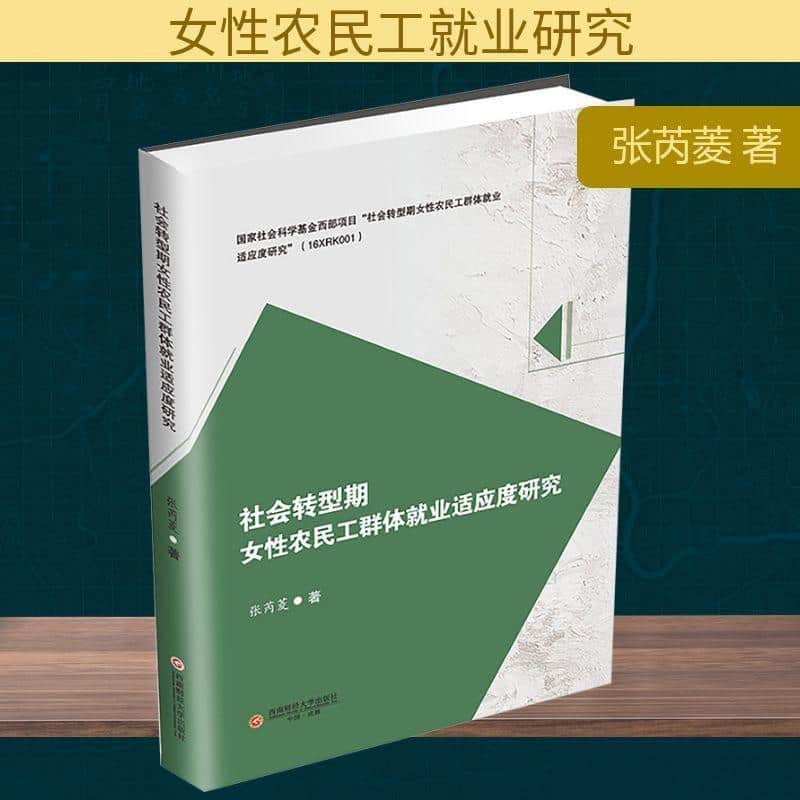 社会转型期女性农民工群体就业适应度研究