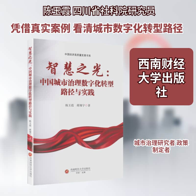 智慧之光—中国城市治理数字化转型路径与实践: