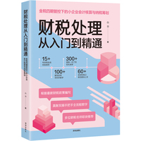 财税处理从入门到精通—金税四期管控下的小企业会计核算与纳税筹划: