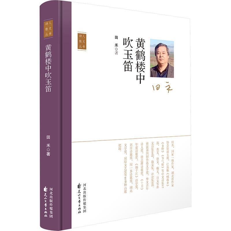黄鹤楼中吹玉笛