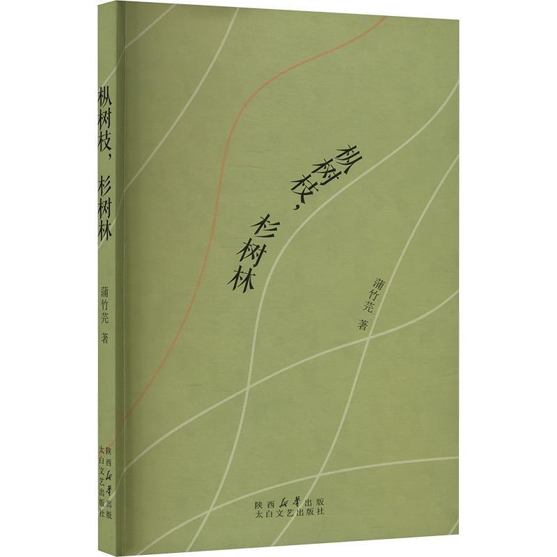 枞树枝，杉树林