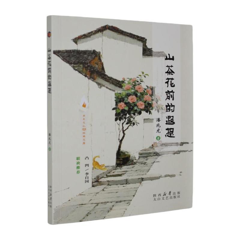 山茶花前的遐想