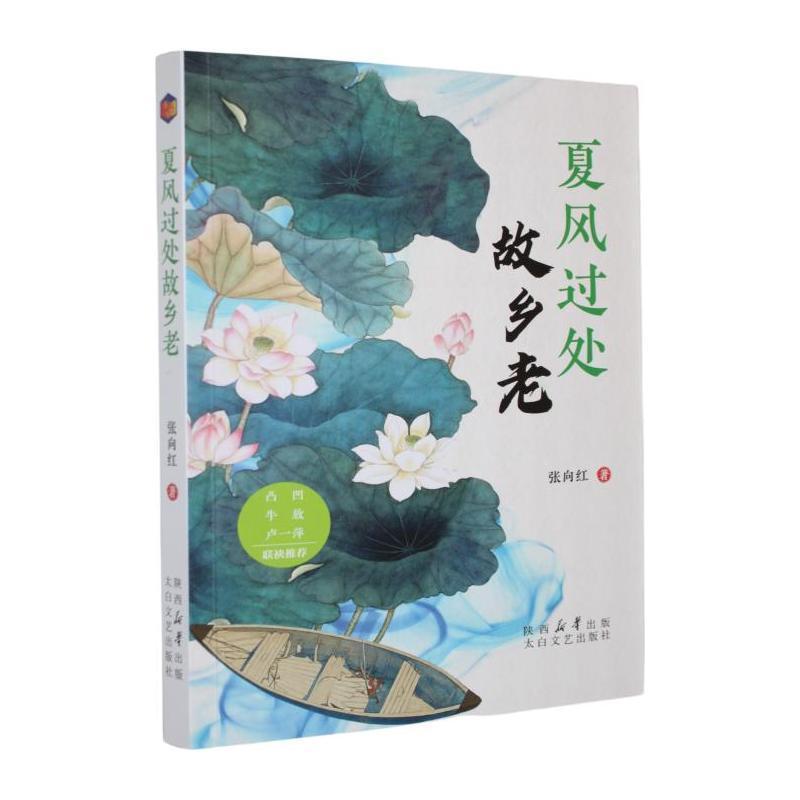 夏风过处故乡老