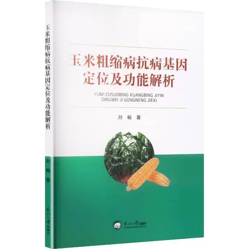 玉米粗缩病抗病基因定位及功能解析