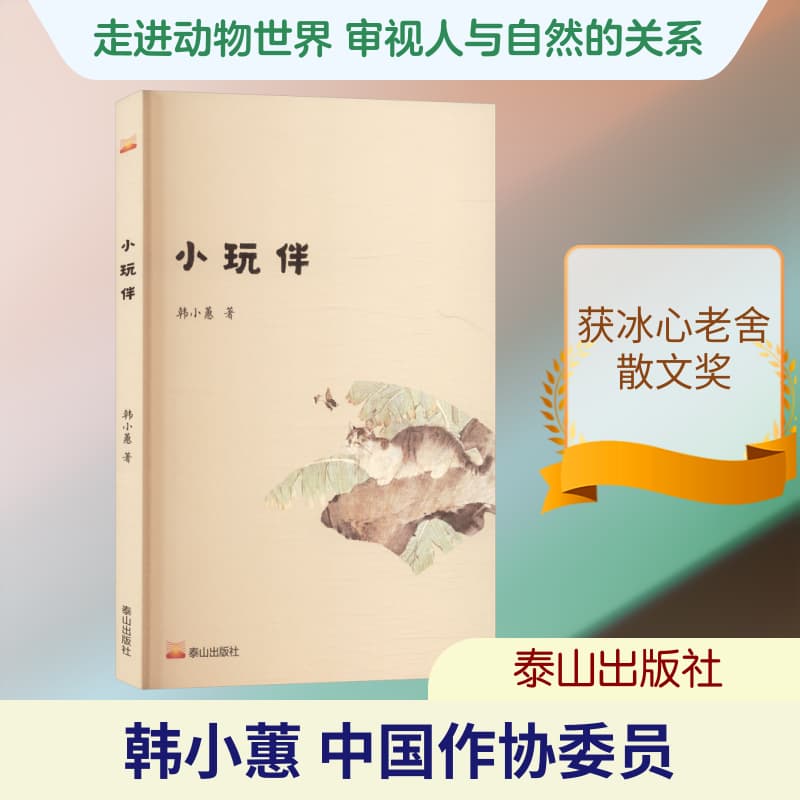 小玩伴