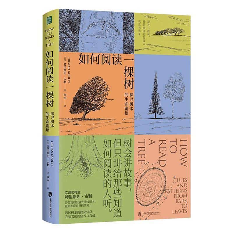 如何阅读一棵树—探寻树木的生命密语