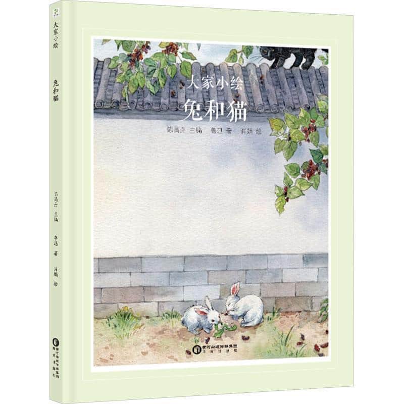 兔和猫
