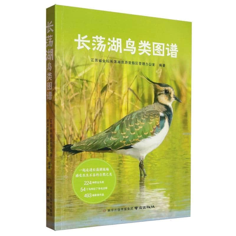 长荡湖鸟类图谱