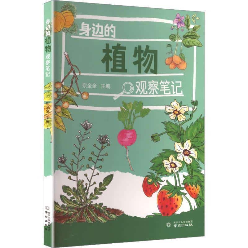 身边的植物观察笔记