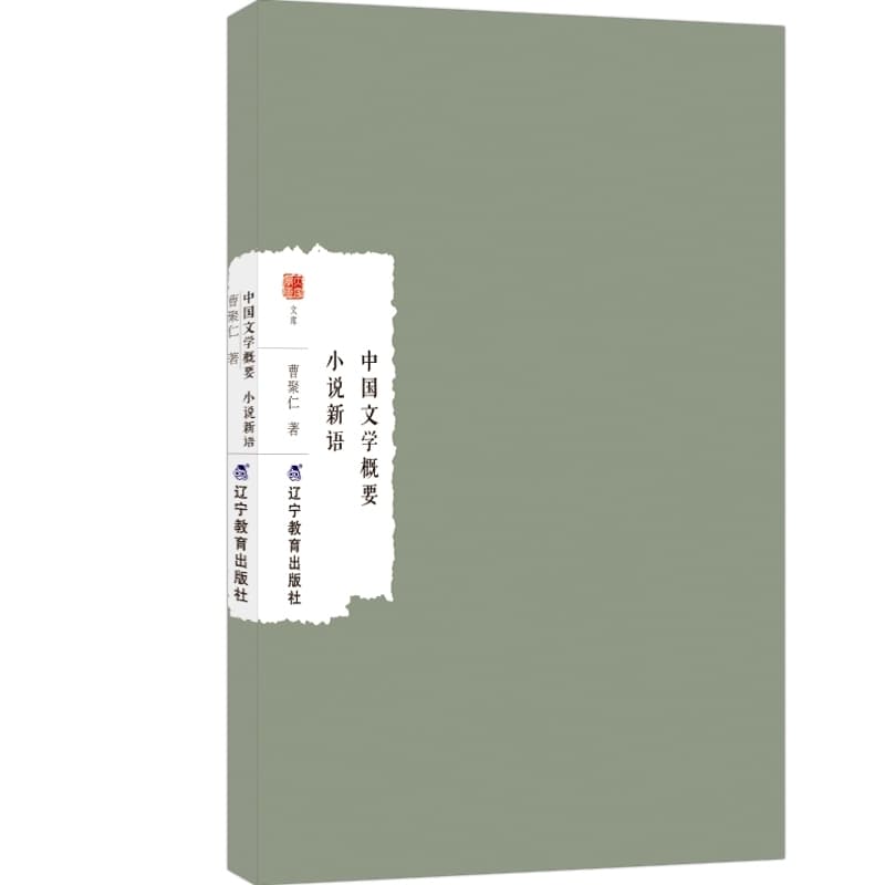中国文学概要 小说新语
