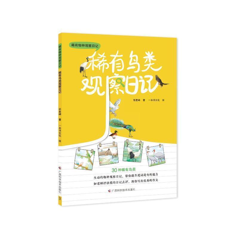 稀有鸟类观察日记