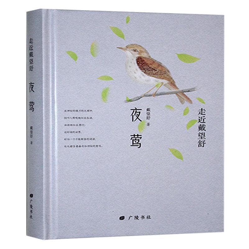夜莺
