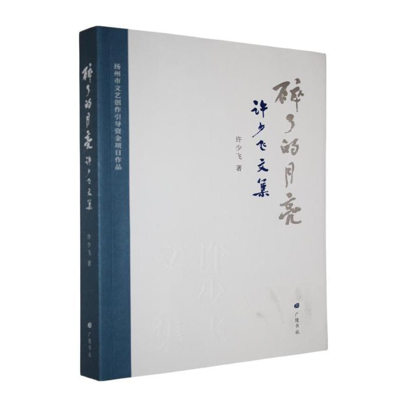 碎了的月亮—许少飞文集: