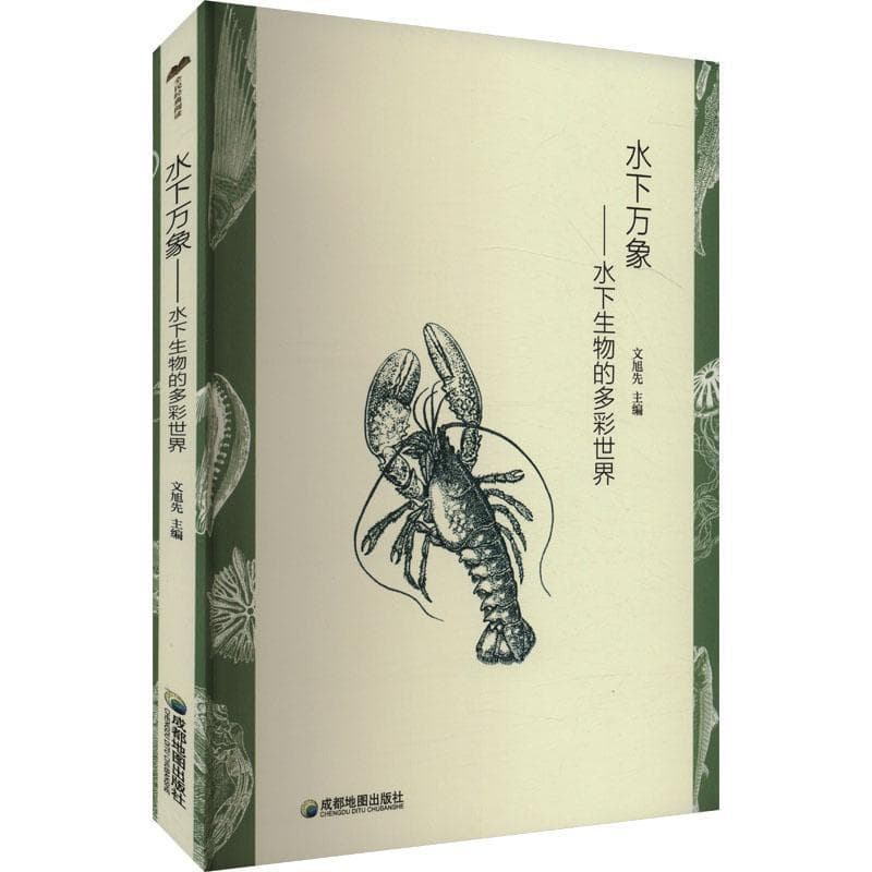 水下万象—水下生物的多彩世界