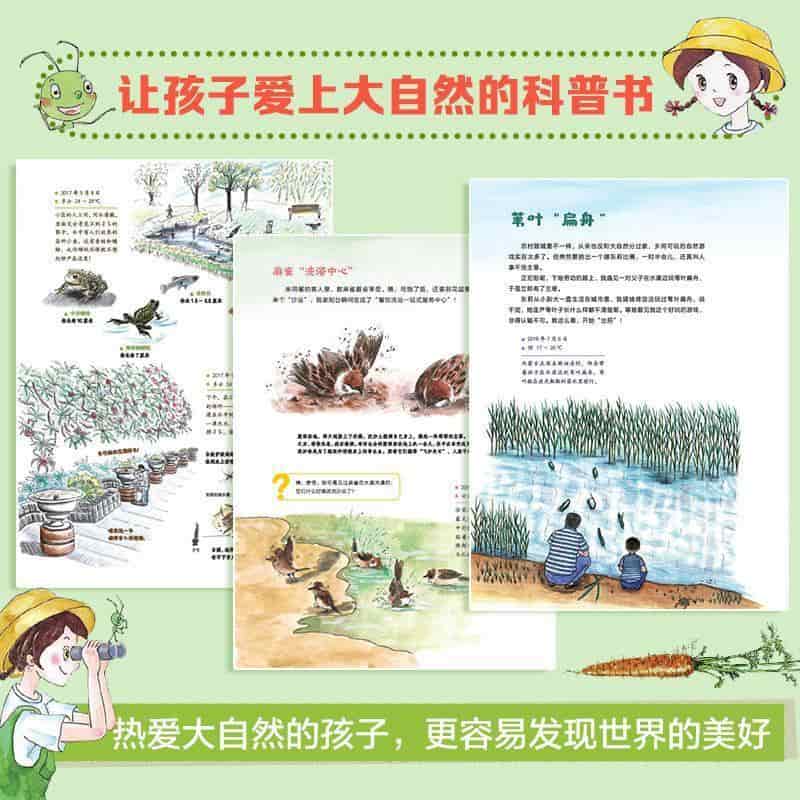 我的自然笔记:发现一棵树
