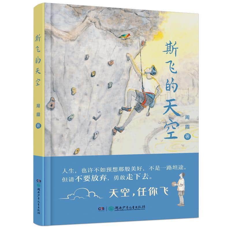 斯飞的天空