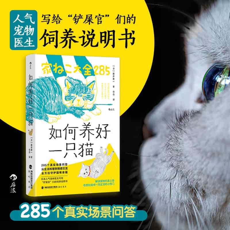 如何养好一只猫
