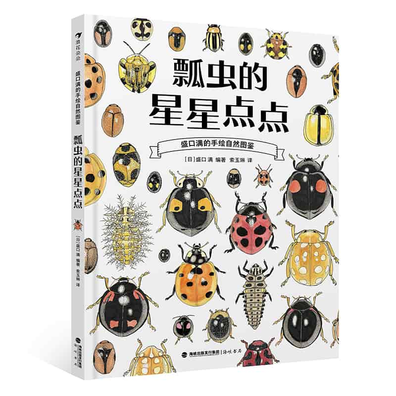 瓢虫的星星点点