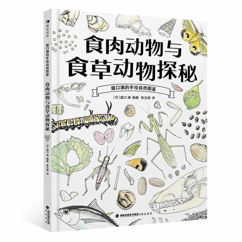 食肉动物与食草动物探秘