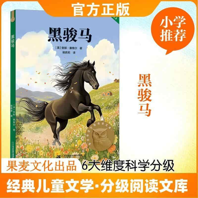 黑骏马