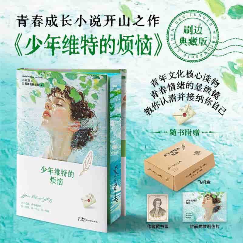 少年维特的烦恼