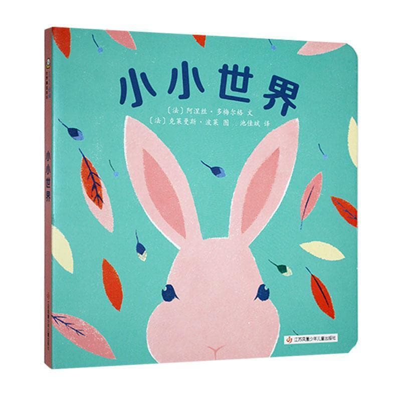 小小世界