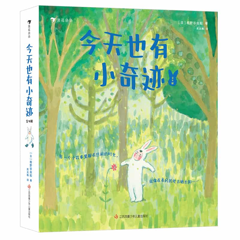 今天也有小奇迹:森林里的光