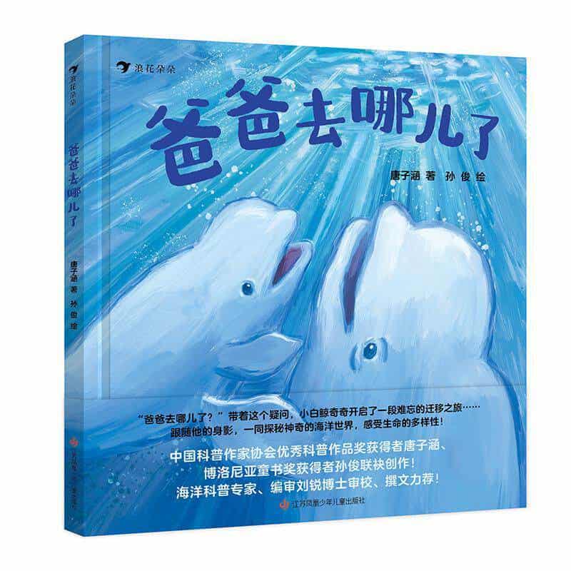 爸爸去哪儿了
