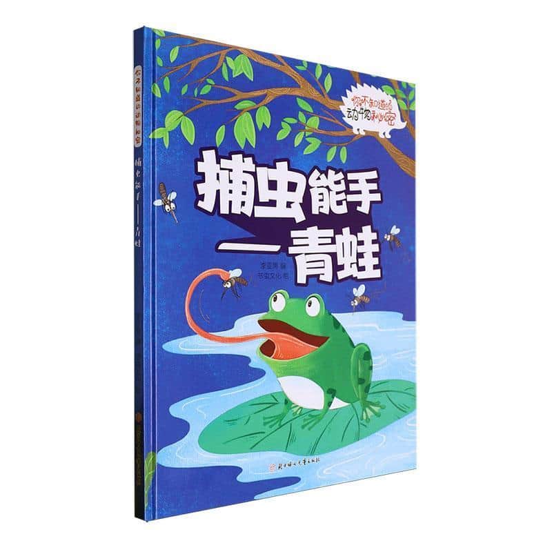 捕虫能手—青蛙