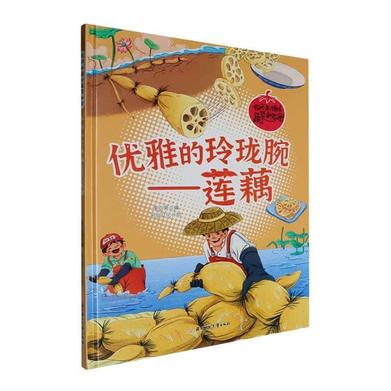 优雅的玲珑腕—莲藕