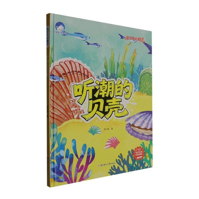 听潮的贝壳