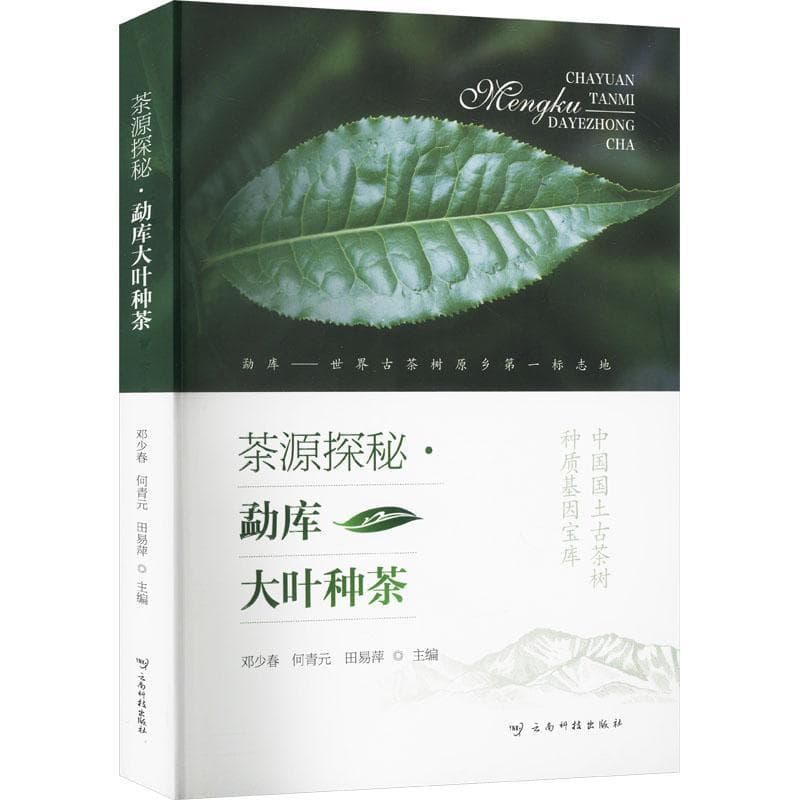 茶源探秘—勐库大叶种茶