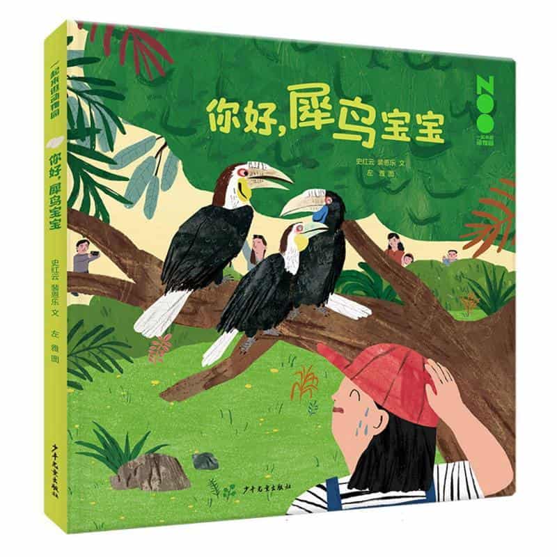 你好，犀鸟宝宝