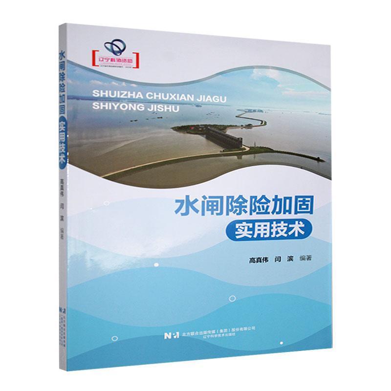 水闸除险加固实用技术