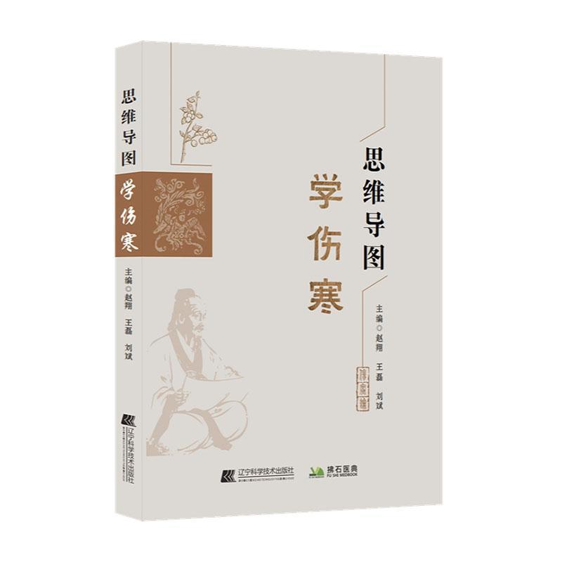 思维导图学伤寒
