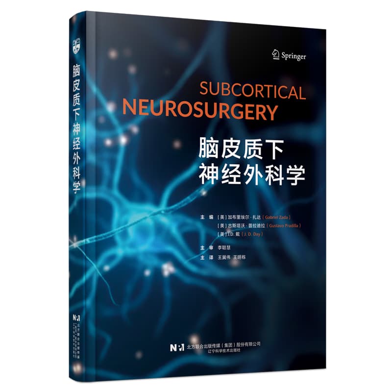 脑皮质下神经外科学