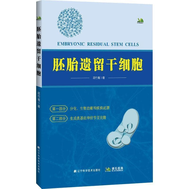 胚胎遗留干细胞