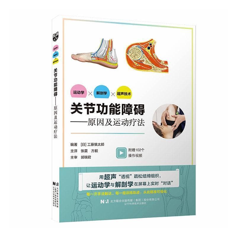 关节功能障碍—原因及运动疗法