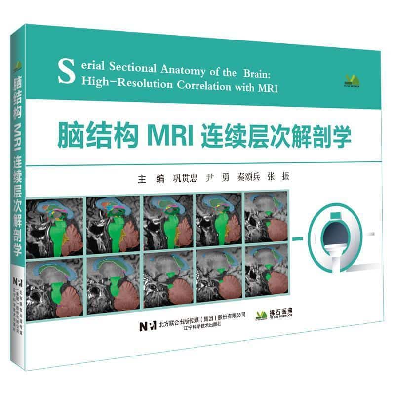 脑结构MRI连续层次解剖学