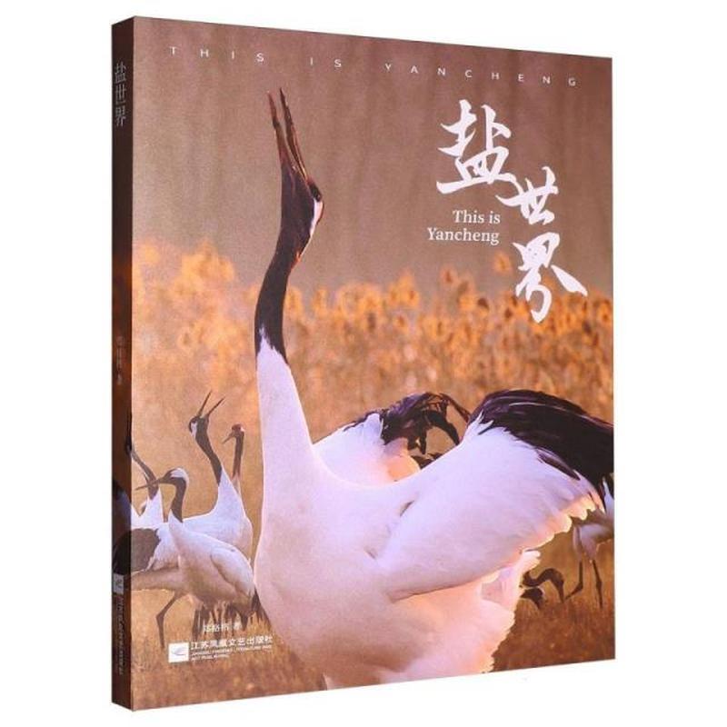 盐世界