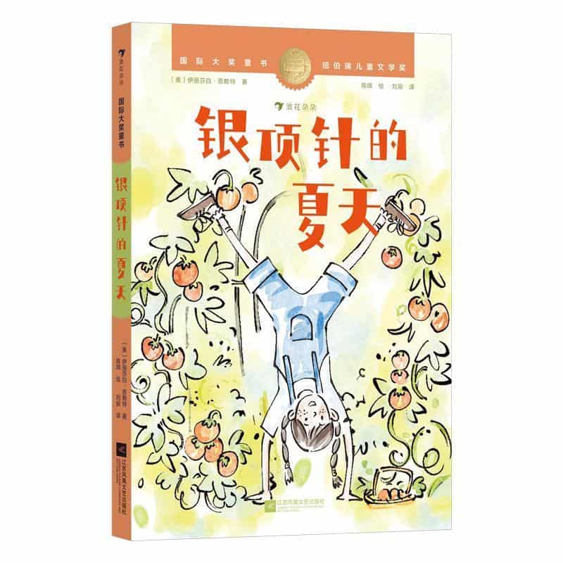 银顶针的夏天