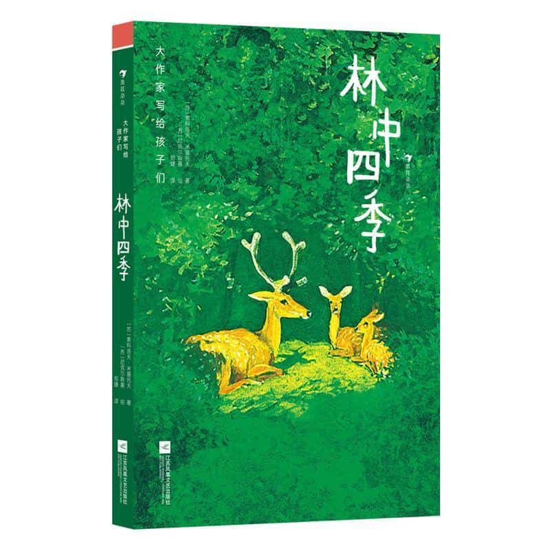 林中四季