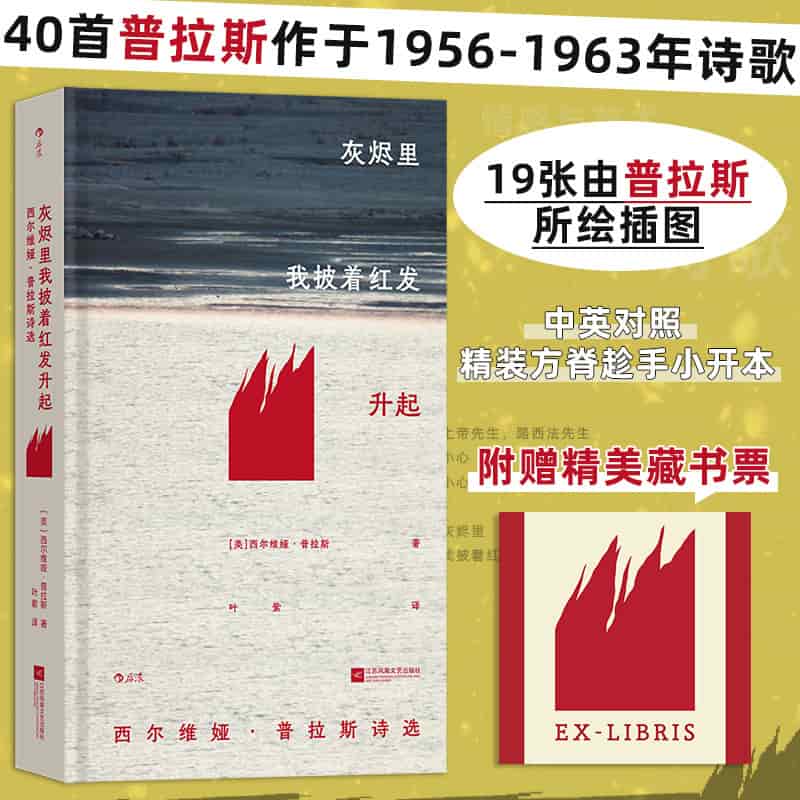 灰烬里我披着红发升起—西尔维娅·普拉斯诗选—插图珍藏版