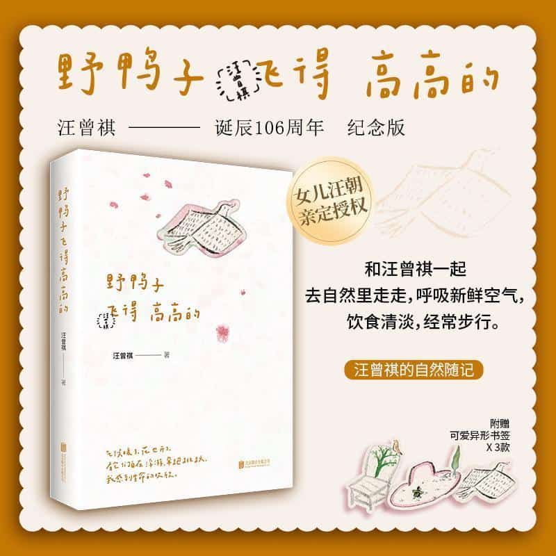 野鸭子飞得高高的