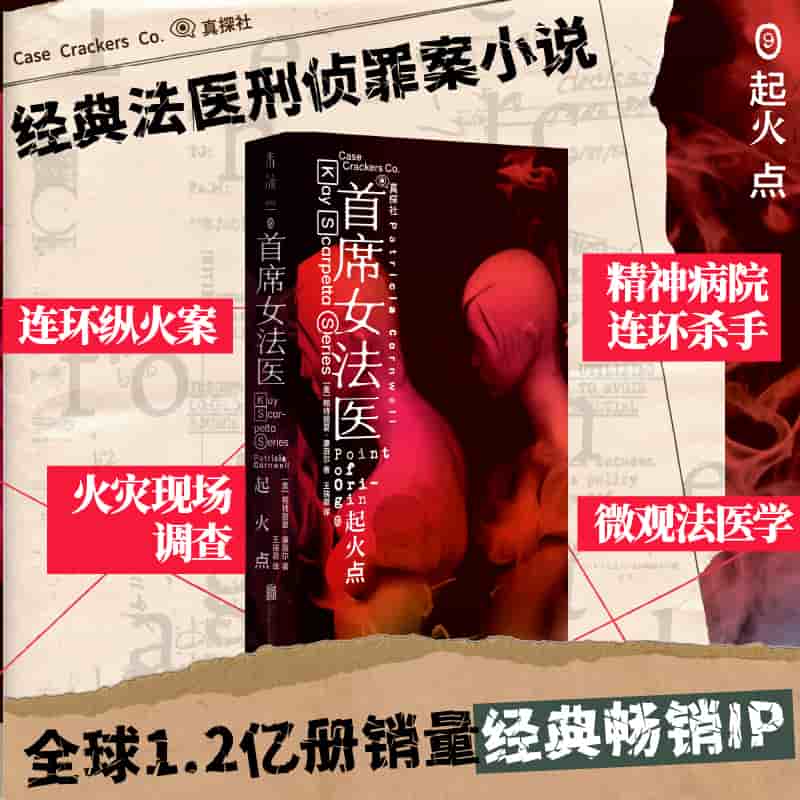 首席女法医(9):起火点:Point of origin