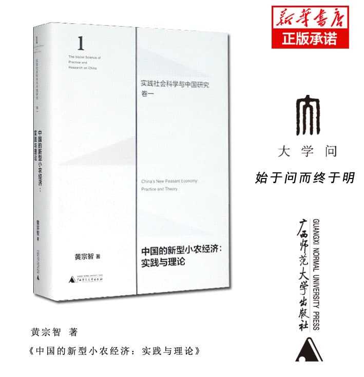 中国的新型小农经济—实践与理论—practice and theory