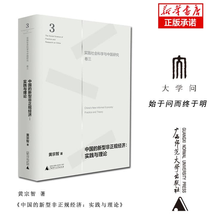 中国的新型非正规经济—实践与理论—practice and theory
