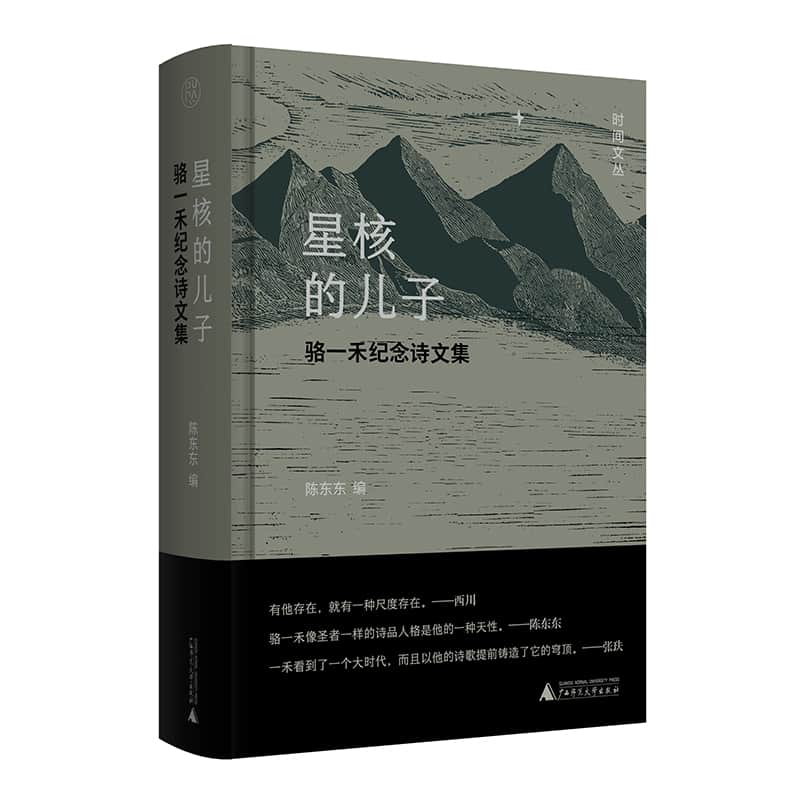 星核的儿子—骆一禾纪念诗文集