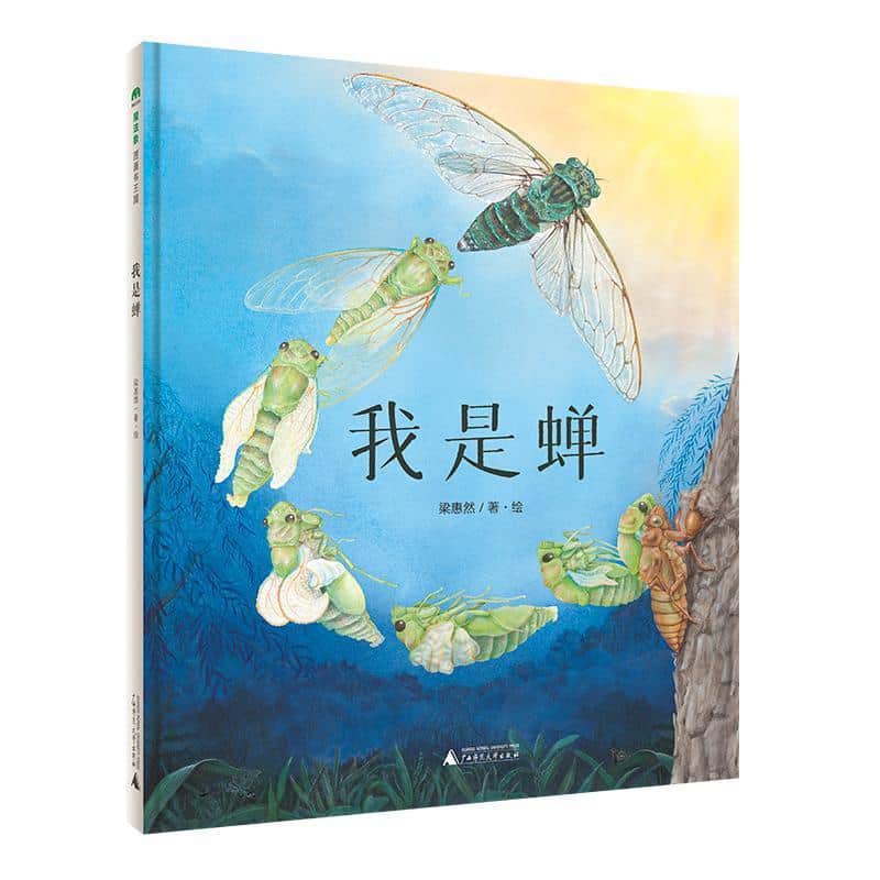 我是蝉